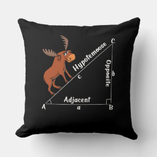 Almofada Engraçado Matemática Hipotemose Geometria Mose Pia
