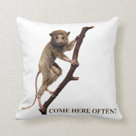 Almofada Engraçado Táxidermia Macaco-Limur | Olhos Grandes