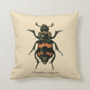 Almofada Entomologia Revers. do besouro do sacristão dos