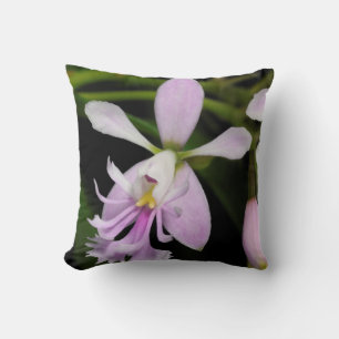 Almofada Epidendrum caligarium