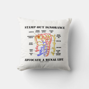 Almofada Escreva A Ignorância Advoga Uma Vida Renal Nephron