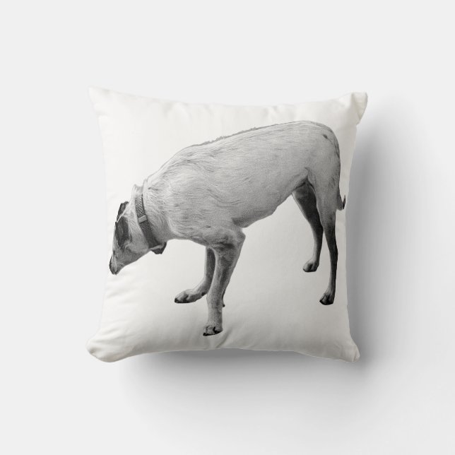 Almofada Espírito de Alerta de Queda (Frente)