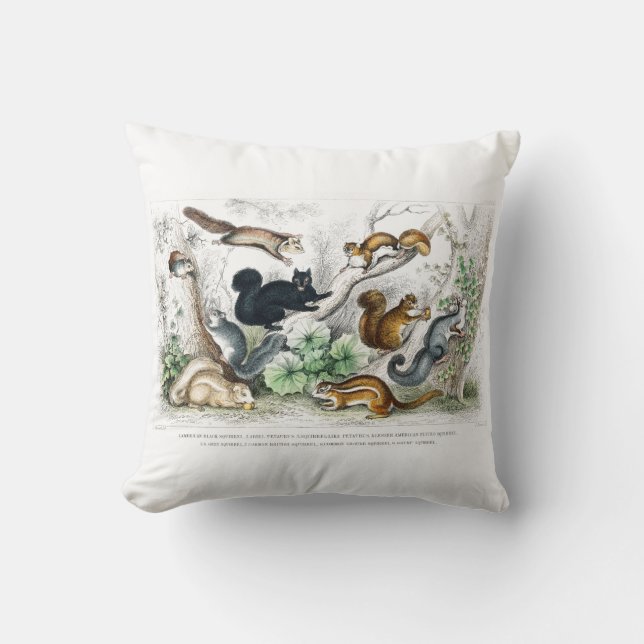 Almofada Esquilo Negro Americano, Ariel Petaurus, Esquilo (Frente)