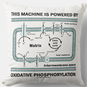 Almofada Esta Máquina Acionada Por Fosforilação Oxidativ