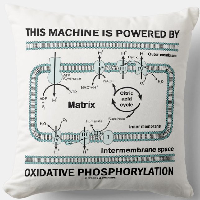 Almofada Esta Máquina Acionada Por Fosforilação Oxidativa (Throw pillow for anyone powered by oxidative phosphorylation (& that means you))