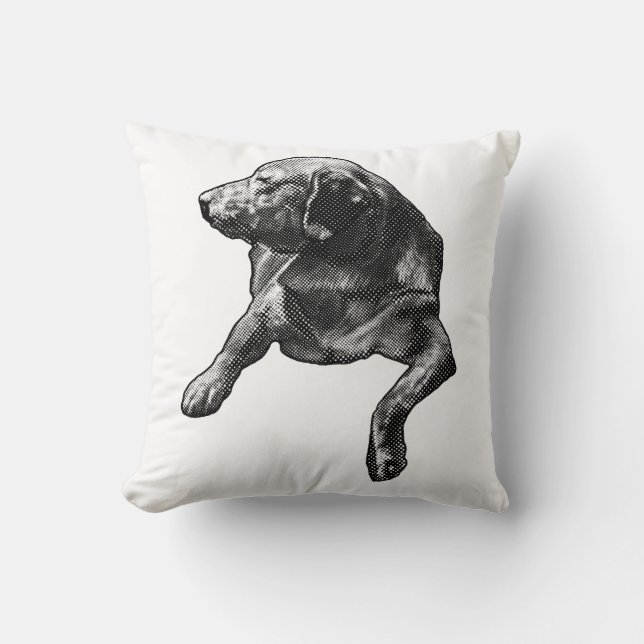 Almofada Estudo de ponta para salas de inverno (Frente)