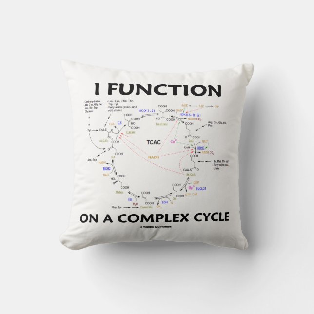 Almofada Eu Funciono Em Um Humor Ciclo Complexo (Frente)