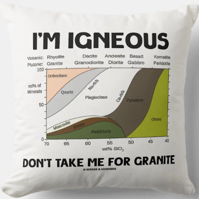Almofada Eu sou Igneous Não me leve por Granite (Throw pillow for fans of igneous rock with the  saying "I'm Igneous Don't Take Me For Granite". )