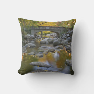 Almofada EUA, Oregon, Ashland, Lithia Park. Outono
