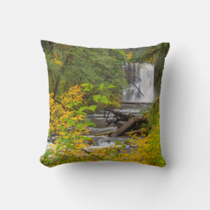Almofada EUA, Oregon, Silver Falls State Park 2