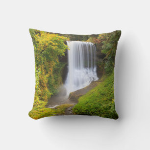 Almofada EUA, Oregon, Silver Falls State Park 3