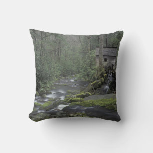 Almofada EUA, Tennessee, Parque Nacional Great Smoky Mounta