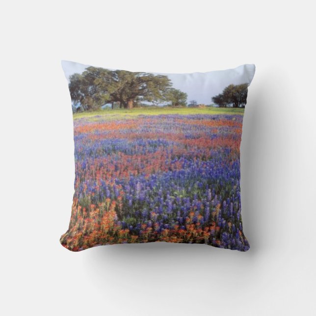 Almofada EUA, Texas, Llano. Bluebonnets e redbonnets (Frente)
