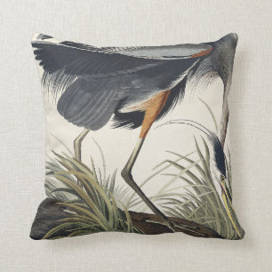 Almofada Excelente Blue Heron de Birds da América
