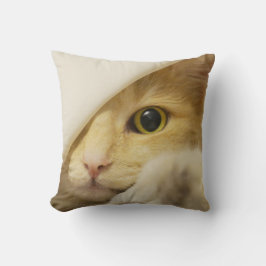 Almofada Extração de Gato Amarelo