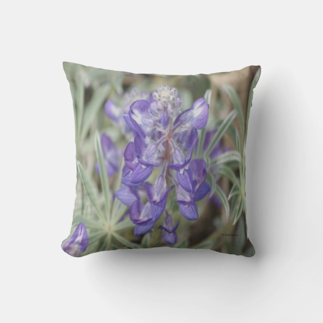 Almofada F18 Flores Selvagens Roxas Lupina Anual (Frente)