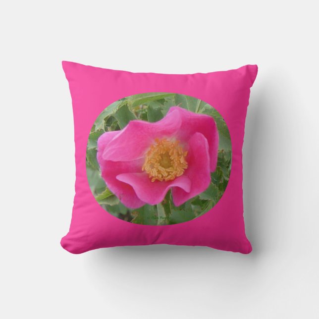 Almofada F23aw Rosa Silvestre (Frente)