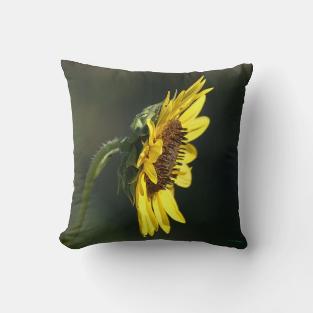 Almofada F43 Susan Amarelo de flor selvagem de olhos pretos (Frente)