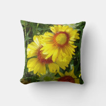 F6 Flores Silvestres Amarelas Gaillardia