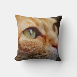 Almofada Face determinada de um gengibre