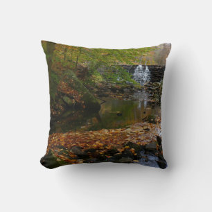 Almofada Fall Waterfall e Creek Pennsylvania Nature Photo
