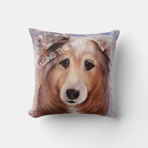 ALMOFADA FAMÍLIA AMIGÁVEL COLLIE