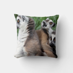Almofada Família de Lemur de Ring-tail