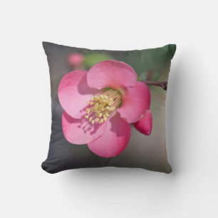 Almofada Farinha Rosa Perfeita