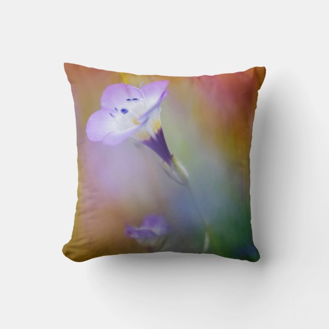 Almofada Farol de Loma de Ponto Antigo| Monumento Cabrillo (Frente)