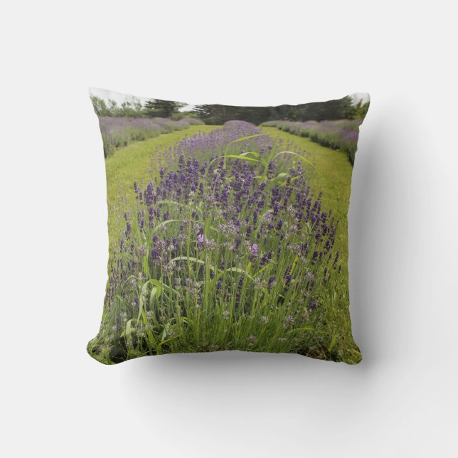 Almofada Fazenda de Lavanda de Seafoam (Frente)