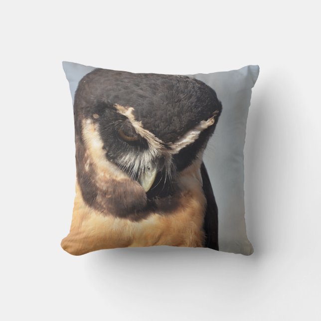 Almofada Feche a Coruja Espetacular olhando para baixo port (Frente)