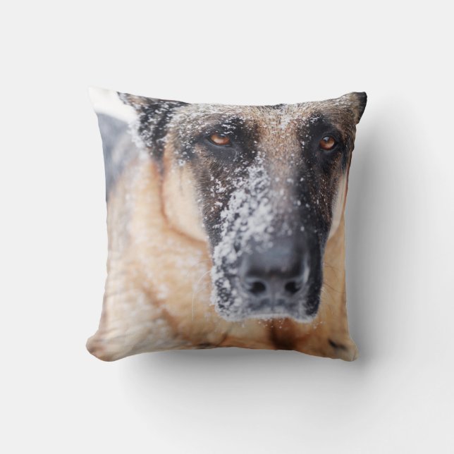 Almofada Fecho Do German shepherd Coberto Na Neve (Frente)