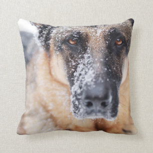 Almofada Fecho Do German shepherd Coberto Na Neve