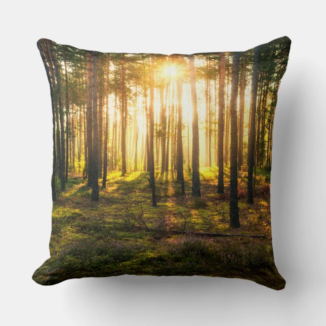 Almofada Feixes do Sol brilham na floresta de pinheiros (Frente)