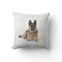Feliz Cachorro de German shepherd resgatado tocand