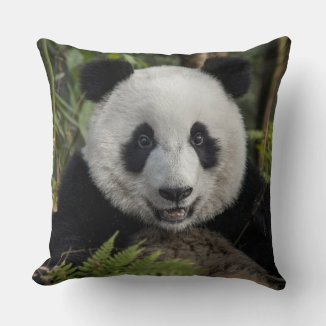Almofada Feliz panda jovem, China (Frente)