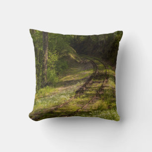 Almofada Ferrovia Abandonada Em Uma Floresta