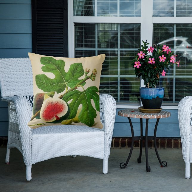 Almofada figos vegetais (Criador carregado)