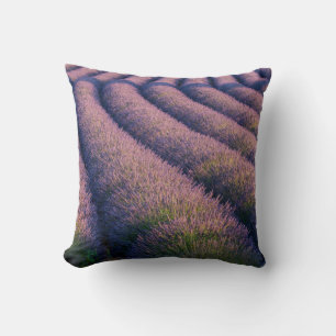Almofada Fileiras de lavanda na Provença