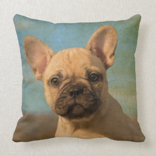 Almofada Filhote de cachorro bonito do buldogue francês,