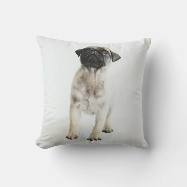 Almofada Filhote de cachorro bonito do Pug (Frente)