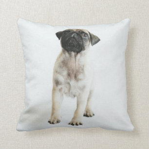 Almofada Filhote de cachorro bonito do Pug