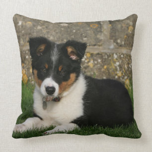 Almofada Filhote de cachorro de border collie com a folha