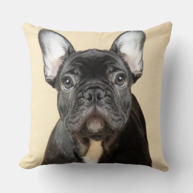 Almofada Filhote de cachorro do buldogue francês (Frente)