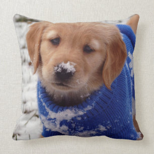 Almofada Filhote de cachorro do golden retriever