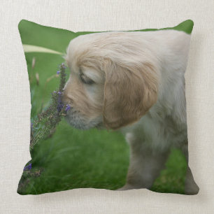 Almofada Filhote de cachorro do golden retriever
