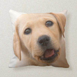 Almofada Filhote de cachorro dourado de Labrador
