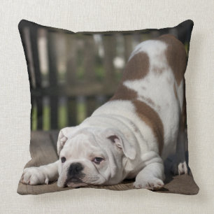 Almofada Filhote de cachorro inglês do buldogue