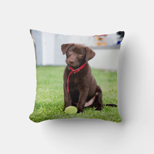 Almofada Filhote De Labrador De Chocolate Com Bola De Tênis (Frente)