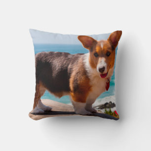Almofada Filhote de Pembroke Welsh Corgi em pé na mesa